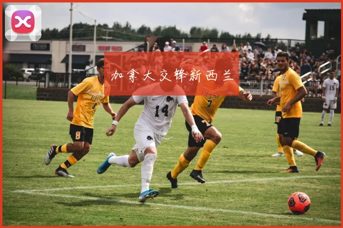 加拿大交锋新西兰