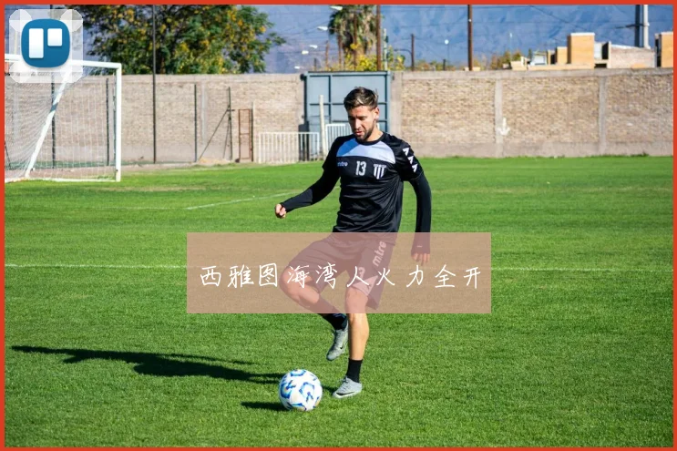 西雅图海湾人火力全开