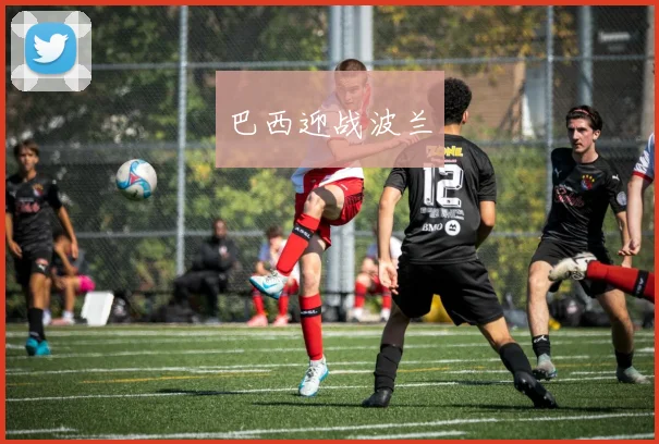巴西迎战波兰