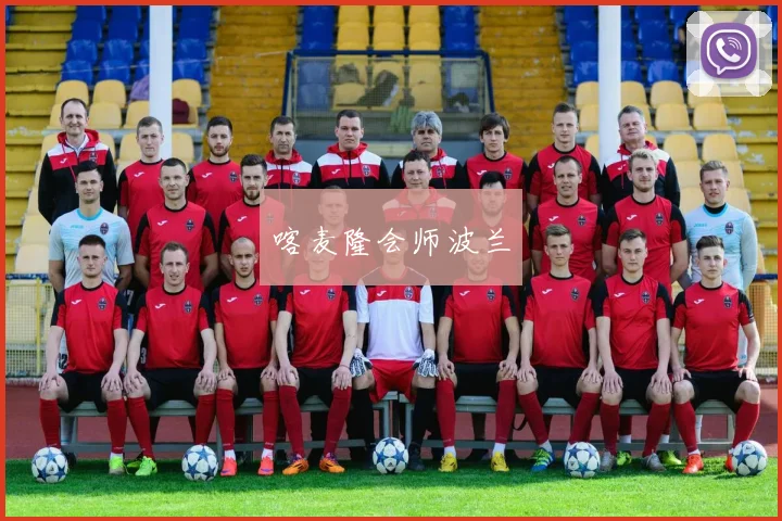 喀麦隆会师波兰