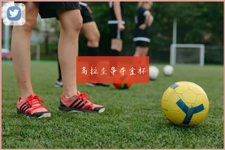 乌拉圭争夺金杯