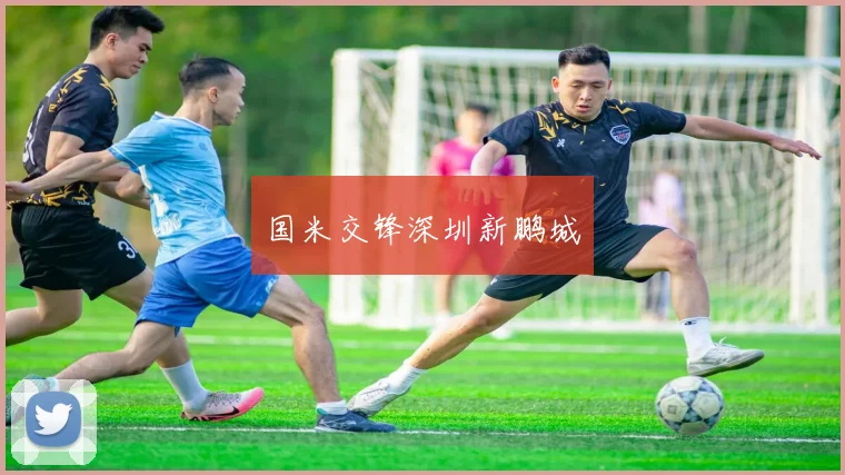 国米交锋深圳新鹏城