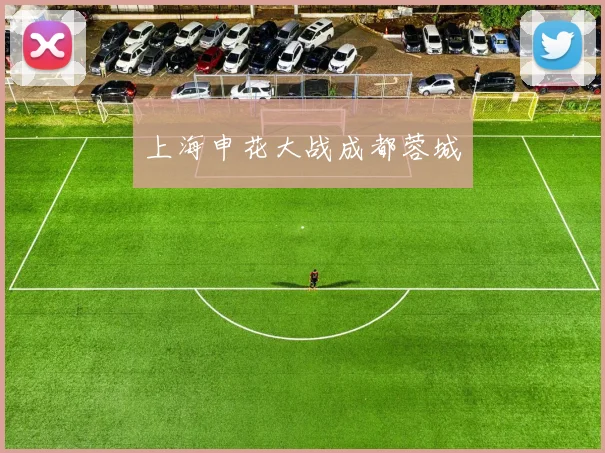 上海申花大战成都蓉城