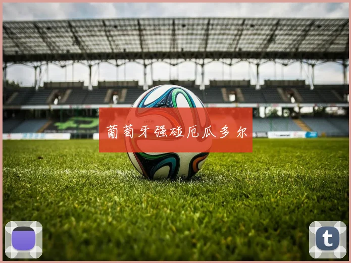 葡萄牙强碰厄瓜多尔